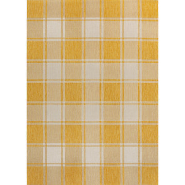 Sabine Traditional Farmhouse Bold Gingham Area Rug